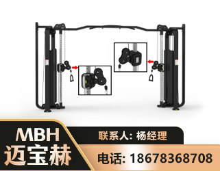 信阳大飞鸟训练器